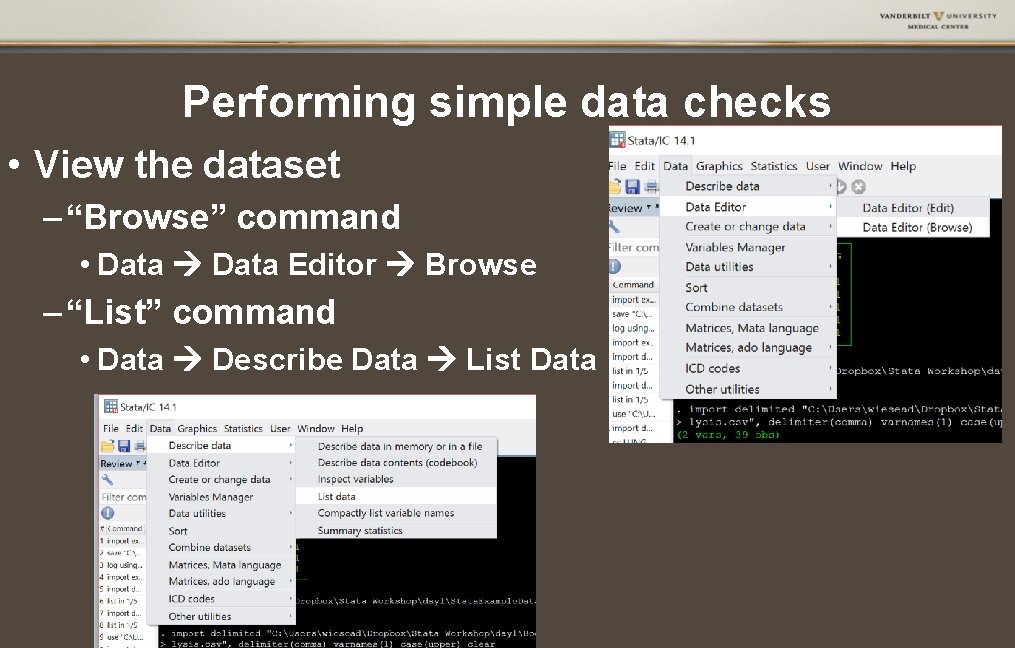 Performing simple data checks • View the dataset – “Browse” command • Data Editor