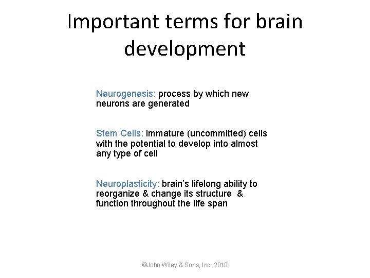 Important terms for brain development Neurogenesis: process by which new neurons are generated Stem