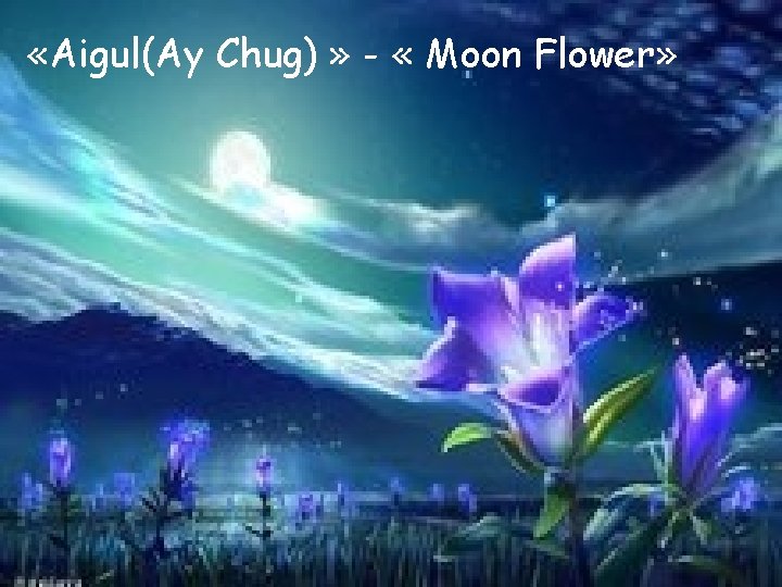  «Aigul(Ay Chug) » - « Moon Flower» 