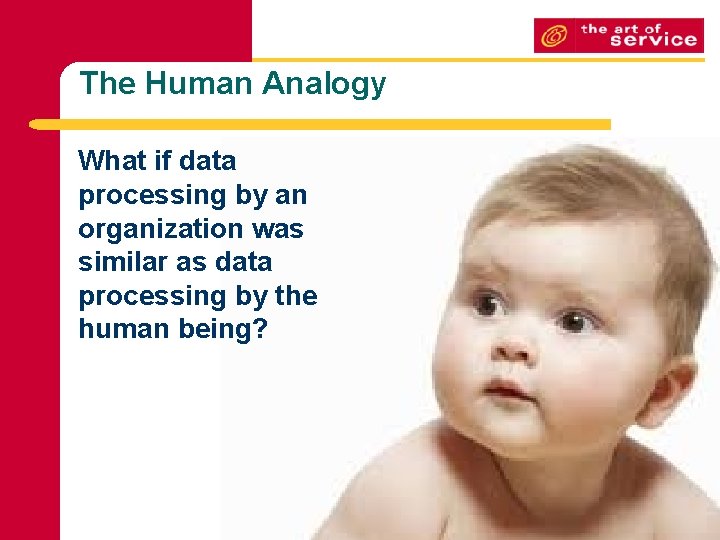 The Human Analogy What if data processing by an organization was similar as data