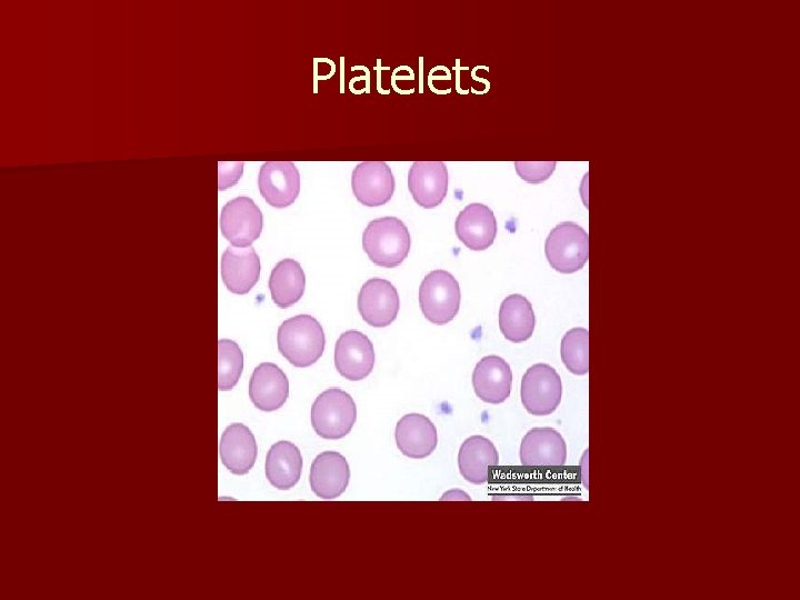 Platelets 