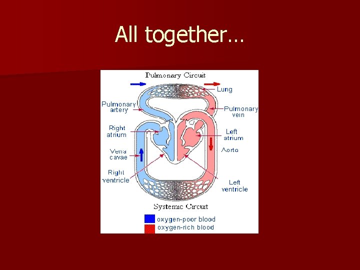 All together… 