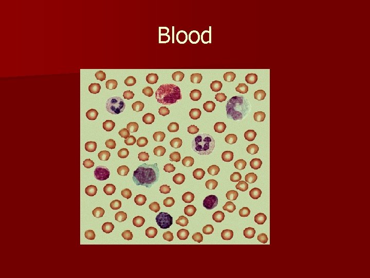 Blood 