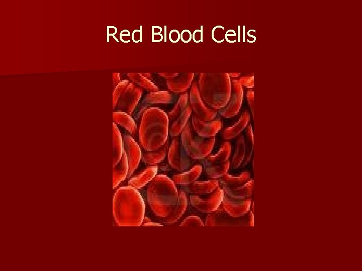 Red Blood Cells 
