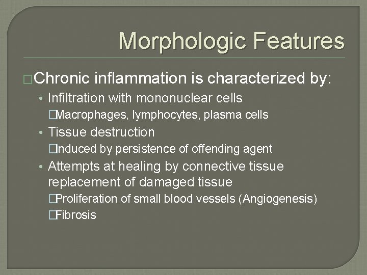 Morphologic Features �Chronic inflammation is characterized by: • Infiltration with mononuclear cells �Macrophages, lymphocytes, Morphologic Features �Chronic inflammation is characterized by: • Infiltration with mononuclear cells �Macrophages, lymphocytes,