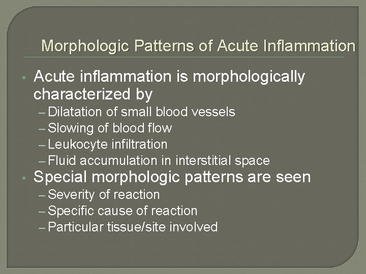 Morphologic Patterns of Acute Inflammation • Acute inflammation is morphologically characterized by – Dilatation Morphologic Patterns of Acute Inflammation • Acute inflammation is morphologically characterized by – Dilatation