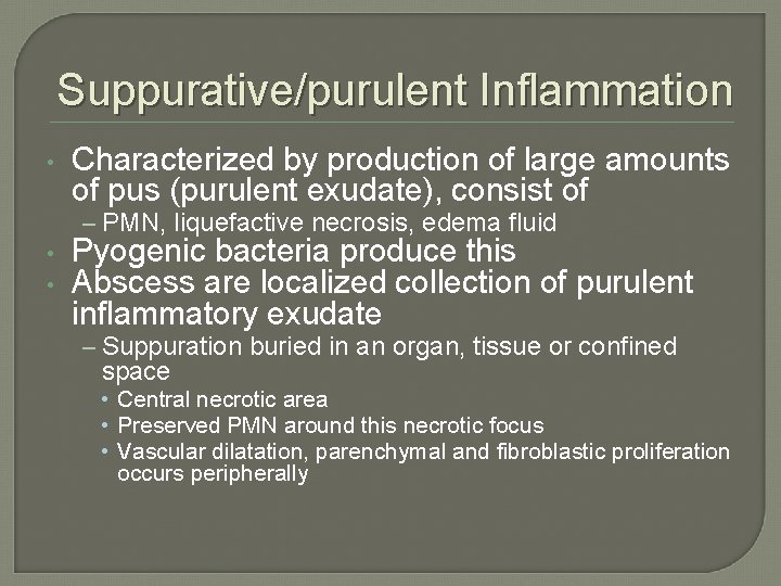 Suppurative/purulent Inflammation • Characterized by production of large amounts of pus (purulent exudate), consist Suppurative/purulent Inflammation • Characterized by production of large amounts of pus (purulent exudate), consist