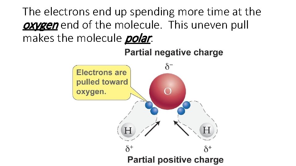 The electrons end up spending more time at the oxygen end of the molecule.
