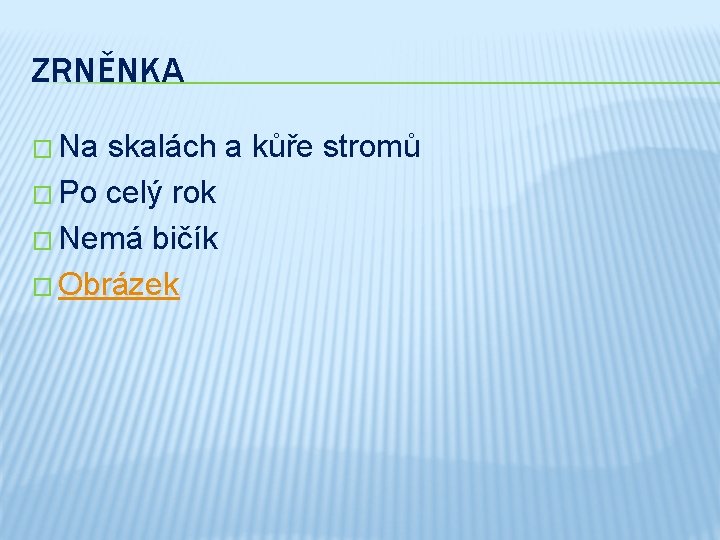 ZRNĚNKA � Na skalách a kůře stromů � Po celý rok � Nemá bičík