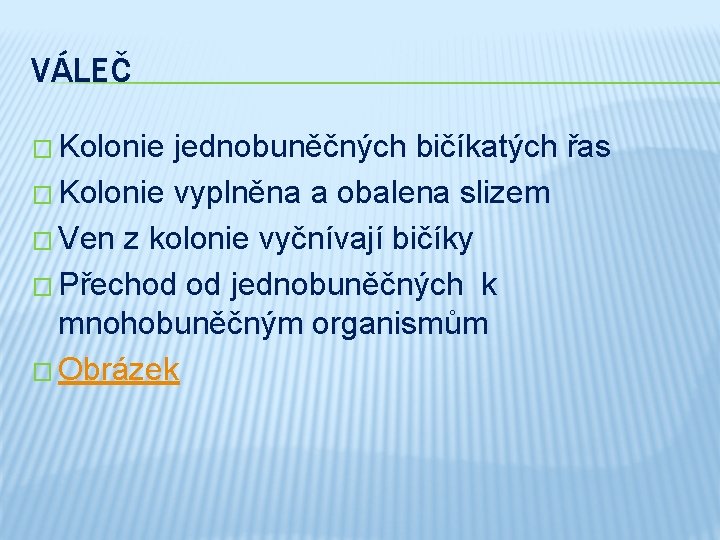 VÁLEČ � Kolonie jednobuněčných bičíkatých řas � Kolonie vyplněna a obalena slizem � Ven