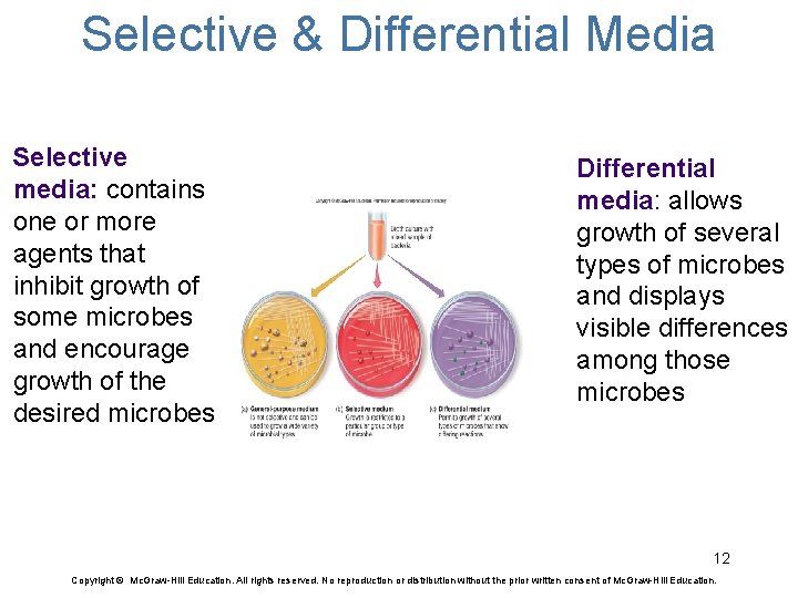 Selective & Differential Media Selective media: contains one or more agents that inhibit growth