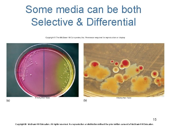 Some media can be both Selective & Differential 15 Copyright © Mc. Graw-Hill Education.