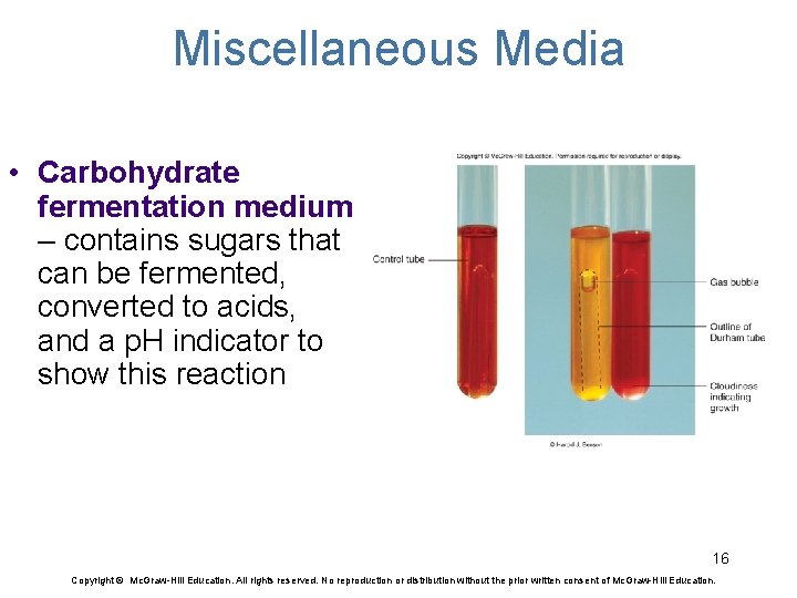 Miscellaneous Media • Carbohydrate fermentation medium – contains sugars that can be fermented, converted