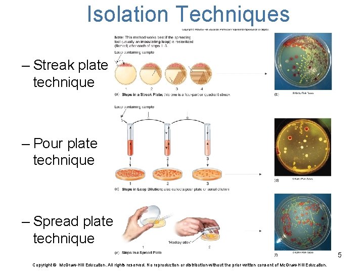 Isolation Techniques – Streak plate technique – Pour plate technique – Spread plate technique