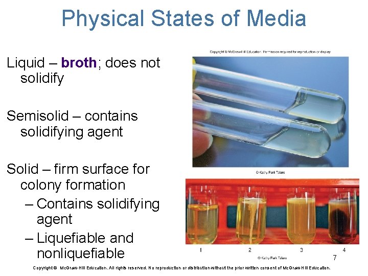 Physical States of Media Liquid – broth; does not solidify Semisolid – contains solidifying