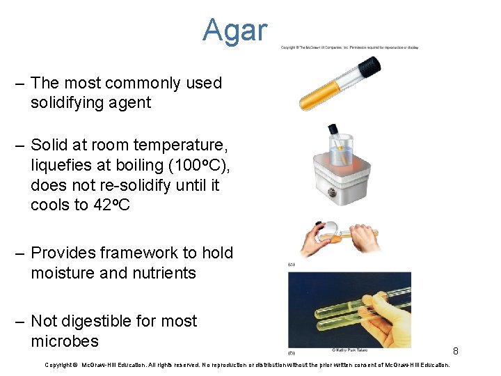 Agar – The most commonly used solidifying agent – Solid at room temperature, liquefies