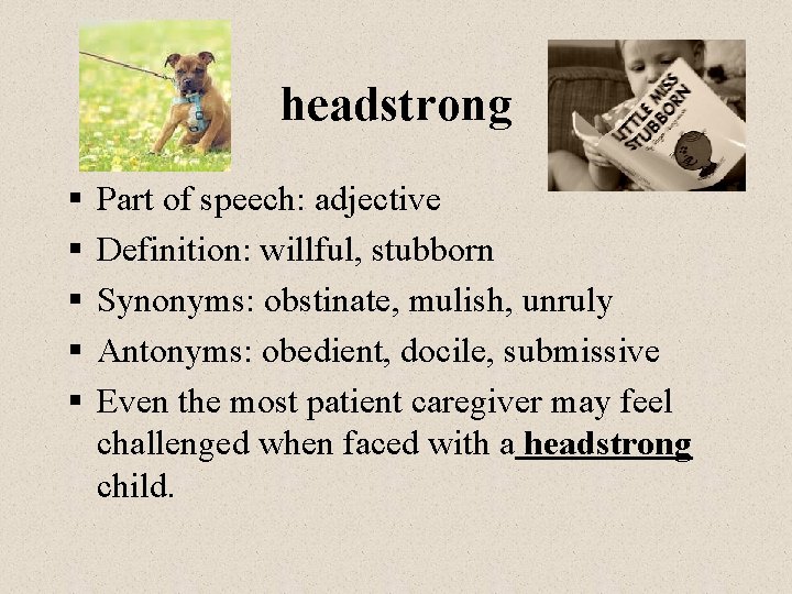 headstrong § § § Part of speech: adjective Definition: willful, stubborn Synonyms: obstinate, mulish,