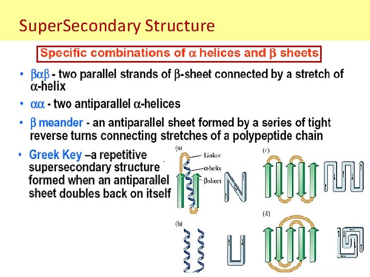Super. Secondary Structure Super. Secondary Structure