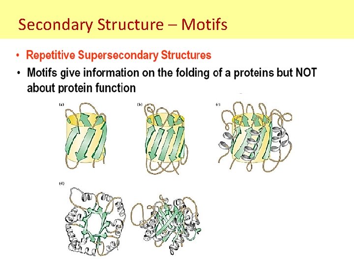 Secondary Structure – Motifs Secondary Structure – Motifs