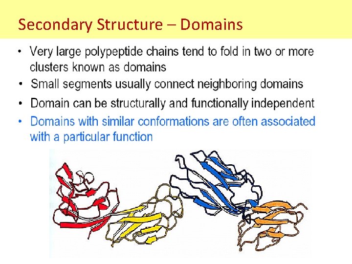 Secondary Structure – Domains Secondary Structure – Domains
