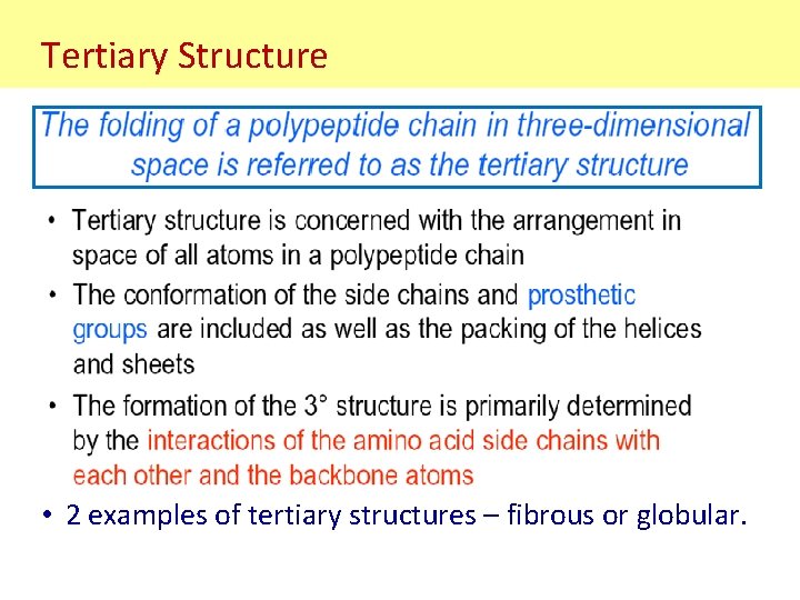 Tertiary Structure • 2 examples of tertiary structures – fibrous or globular. Tertiary Structure • 2 examples of tertiary structures – fibrous or globular.