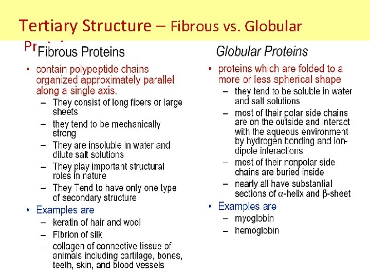 Tertiary Structure – Fibrous vs. Globular Proteins Tertiary Structure – Fibrous vs. Globular Proteins