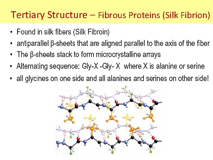 Tertiary Structure – Fibrous Proteins (Silk Fibrion) Tertiary Structure – Fibrous Proteins (Silk Fibrion)