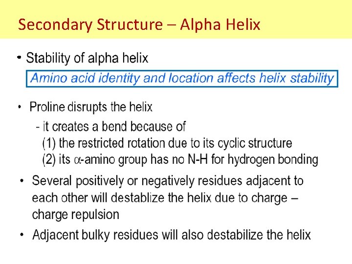 Secondary Structure – Alpha Helix Secondary Structure – Alpha Helix