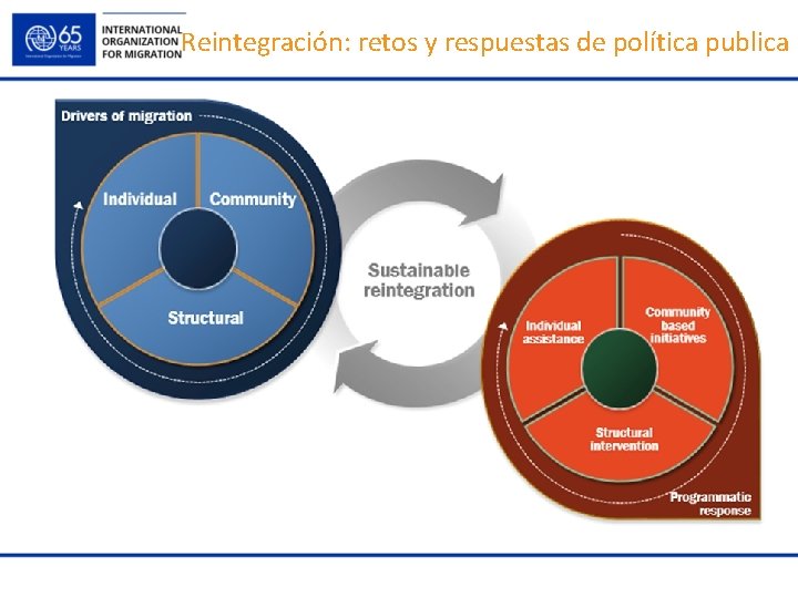 Reintegración: retos y respuestas de política publica 