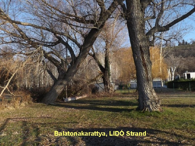 Balatonakarattya, LIDÓ Strand 