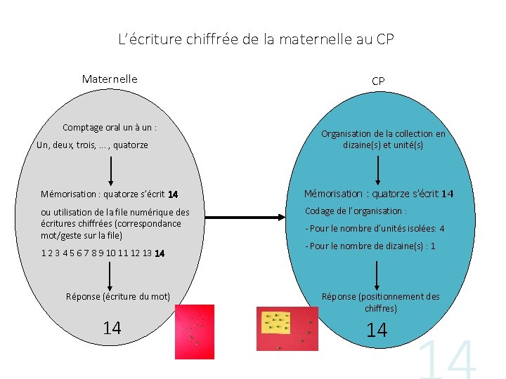 L’écriture chiffrée de la maternelle au CP Maternelle Comptage oral un à un :