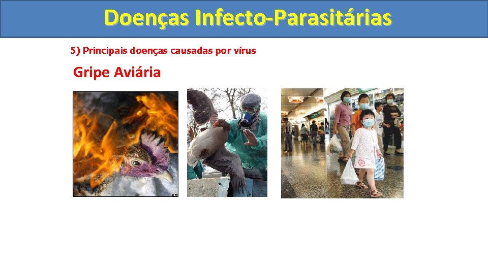 Doenças Infecto-Parasitárias 5) Principais doenças causadas por vírus Gripe Aviária 
