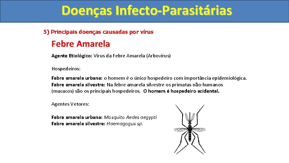 Doenças Infecto-Parasitárias 5) Principais doenças causadas por vírus Febre Amarela Agente Etiológico: Vírus da