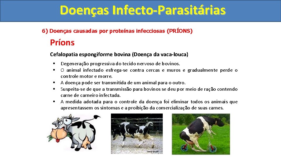Doenças Infecto-Parasitárias 6) Doenças causadas por proteínas infecciosas (PRÍONS) Príons Cefalopatia espongiforme bovina (Doença