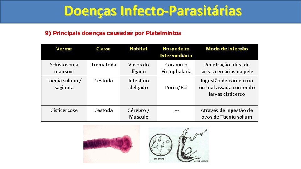 Doenças Infecto-Parasitárias 9) Principais doenças causadas por Platelmintos Verme Classe Habitat Hospedeiro Intermediário Modo