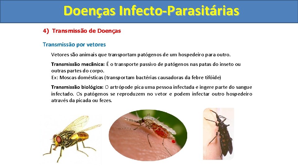 Doenças Infecto-Parasitárias 4) Transmissão de Doenças Transmissão por vetores Vetores são animais que transportam