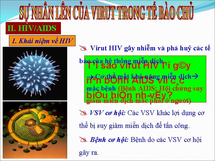 II. HIV/AIDS 1. Khái niệm về HIV Virut HIV gây nhiễm và phá huỷ