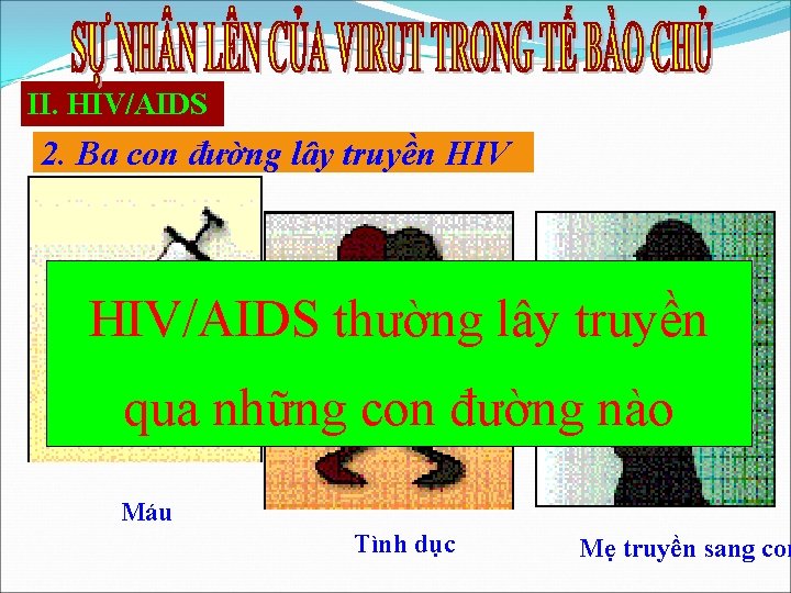 II. HIV/AIDS 2. Ba con đường lây truyền HIV/AIDS thường lây truyền qua những