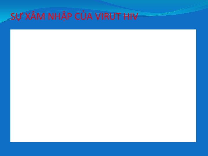 SỰ X M NHẬP CỦA VIRUT HIV 