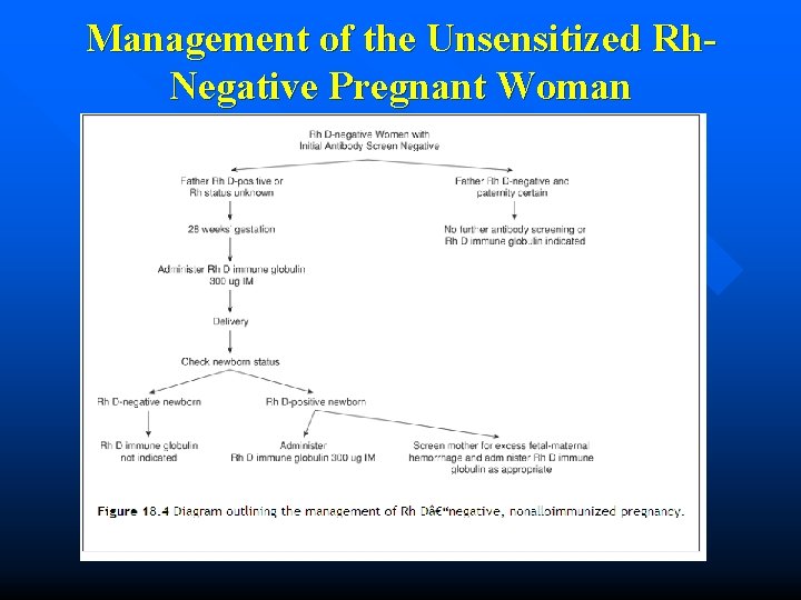 Management of the Unsensitized Rh. Negative Pregnant Woman 