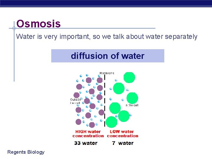 Osmosis Water is very important, so we talk about water separately diffusion of water