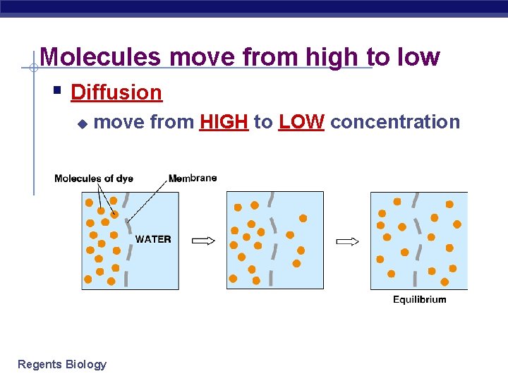 Molecules move from high to low § Diffusion u move from HIGH to LOW