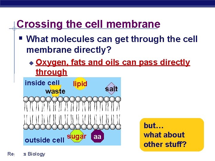 Crossing the cell membrane § What molecules can get through the cell membrane directly?