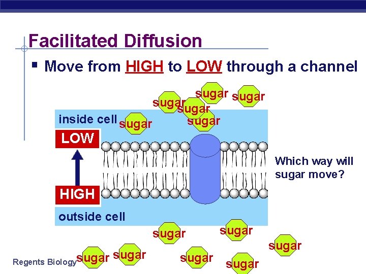 Facilitated Diffusion § Move from HIGH to LOW through a channel sugar inside cell