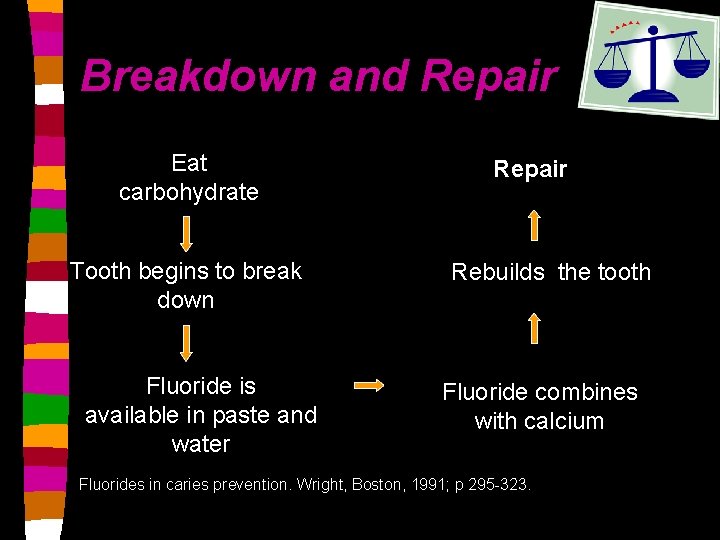 Breakdown and Repair Eat carbohydrate Tooth begins to break down Fluoride is available in