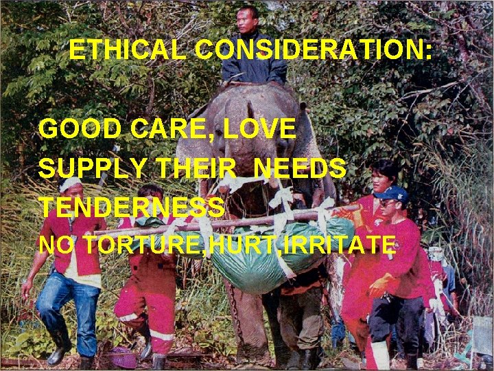 ETHICAL CONSIDERATION: GOOD CARE, LOVE SUPPLY THEIR NEEDS TENDERNESS NO TORTURE, HURT, IRRITATE 
