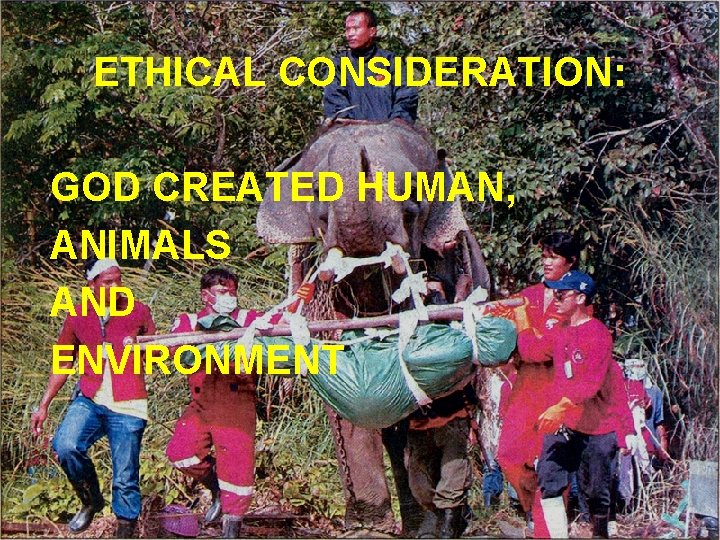 ETHICAL CONSIDERATION: GOD CREATED HUMAN, ANIMALS AND ENVIRONMENT 