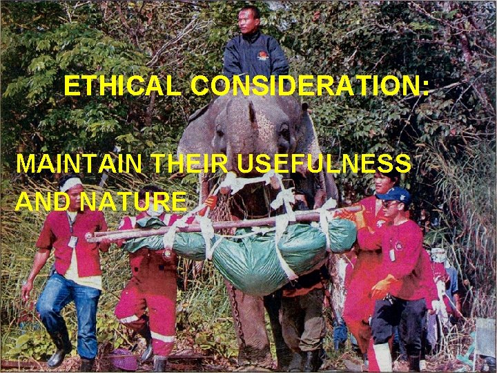 ETHICAL CONSIDERATION: MAINTAIN THEIR USEFULNESS AND NATURE 