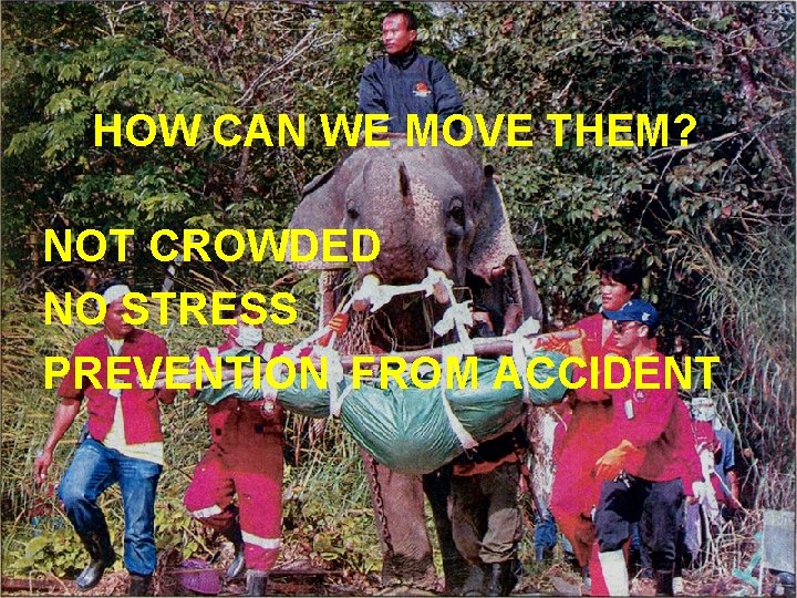 HOW CAN WE MOVE THEM? NOT CROWDED NO STRESS PREVENTION FROM ACCIDENT 