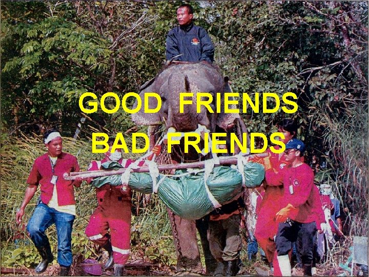 GOOD FRIENDS BAD FRIENDS 